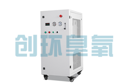 阿拉善石斑鱼养殖水质调控完整指南：臭氧发生器配置与操作步骤